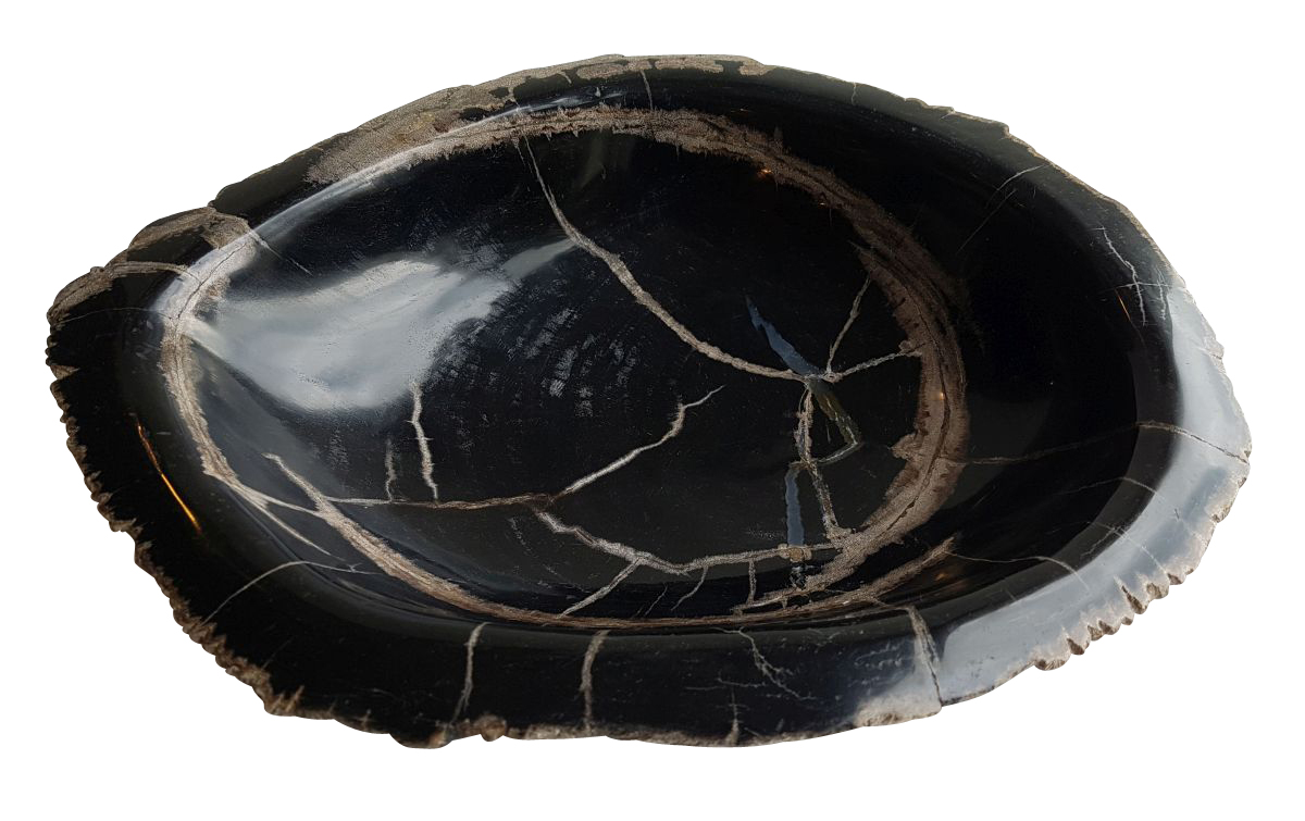 Balsamo Antiques Indonesian Petrified Wood Bowl