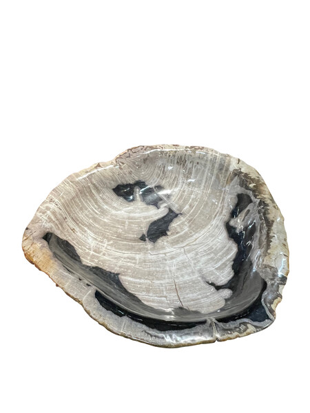 Contemporary Indonesian Large Petrified Wood Bowl