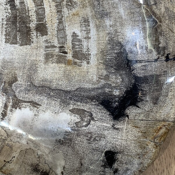 Balsamo Antiques | Indonesia Petrified Wood Shallow Bowl