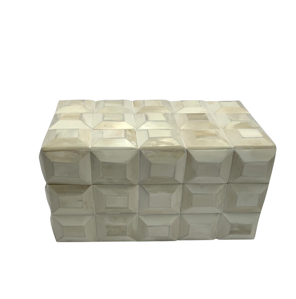 Contemporary Indian 3D Cream Bone Box