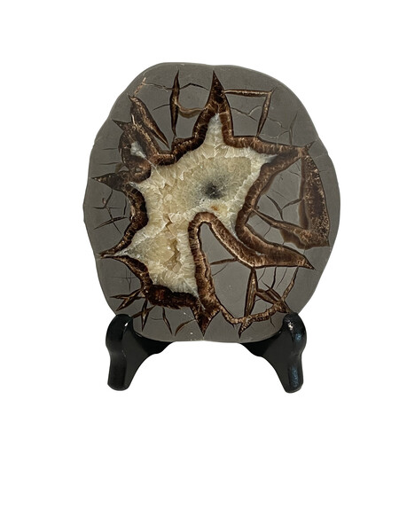 Brazilian Sliced Septarian Stone on Stand