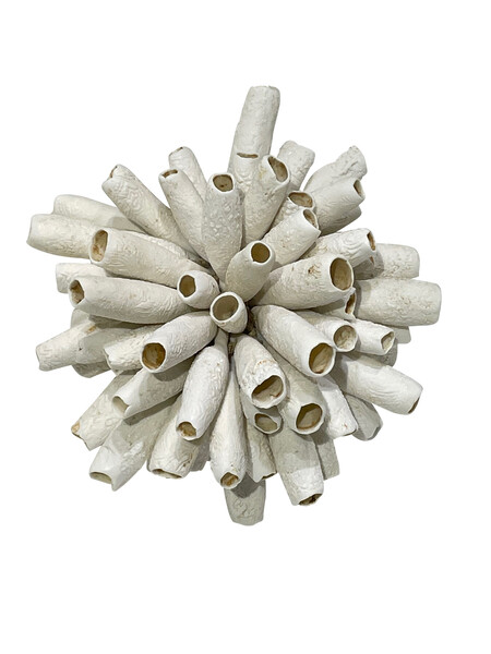 Contemporary French Porcelain Sea Urchin Sculpture