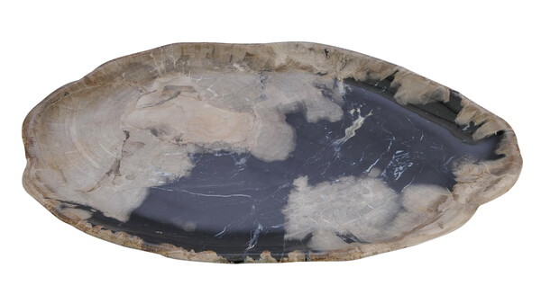 Contemporary Indonesian Petrified Wood Large Plate