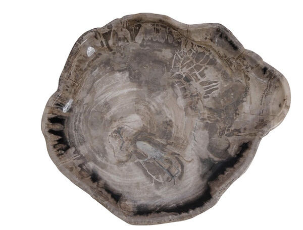 Contemporary Indonesian Petrified Wood XL Platter
