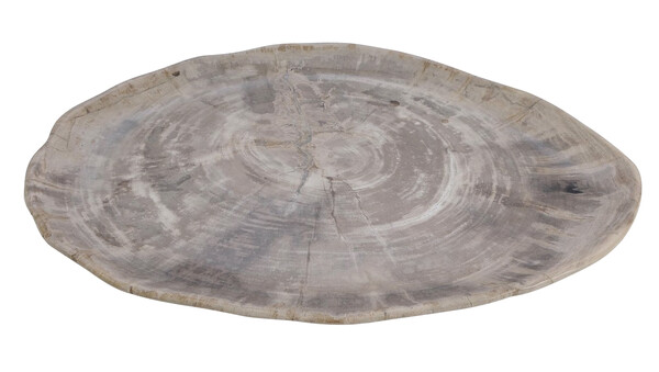 Contemporary Indonesian XL Petrified Wood Platter