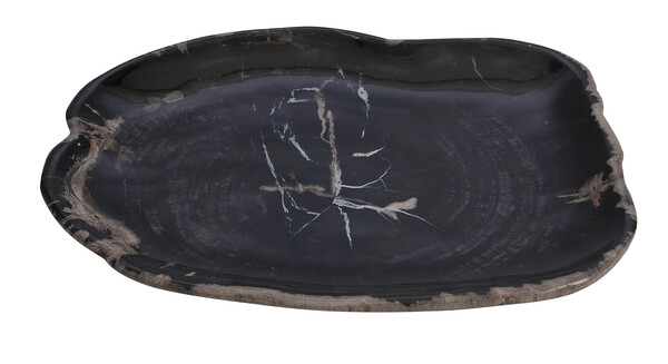 Contmeporary Indonesian Petrified Wood Plate