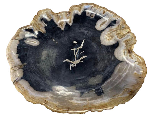 Indonesian Petrified Wood Plate