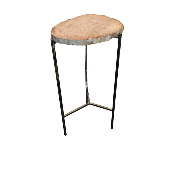 Contemporary Indonesian  Petrified Wood Cocktail Table