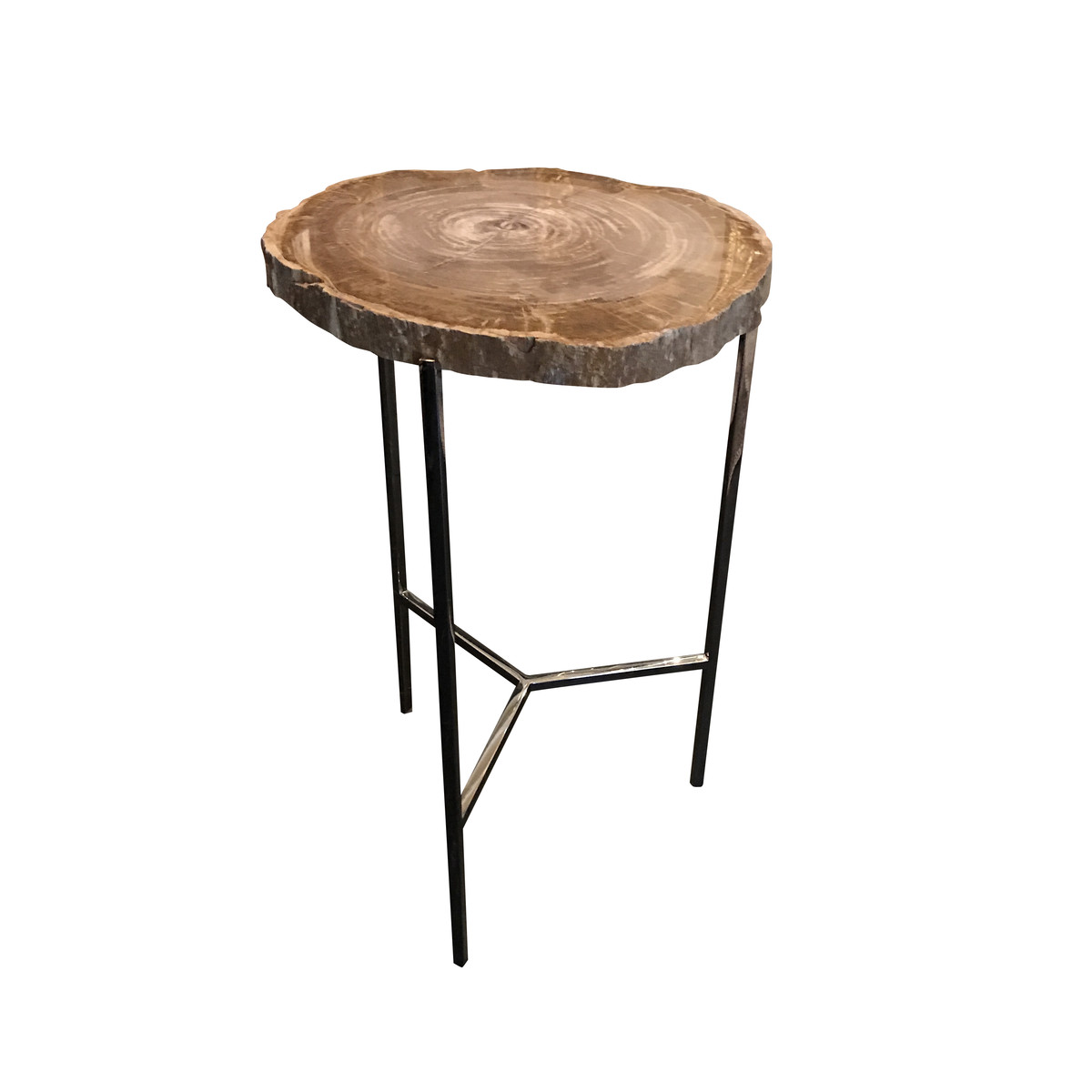 Balsamo Antiques Contemporary Indonesian Petrified Wood Cocktail Table
