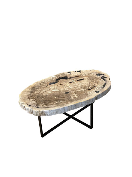Contemporary Indonesian Large Petrified Wood Coffee Table