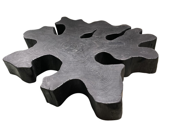 Contemporary Indonesian Organic Free Form Coffee Table