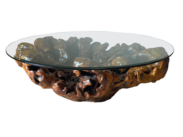 Mid Century Spanish XL Walnut Root Glass Top Coffee Table