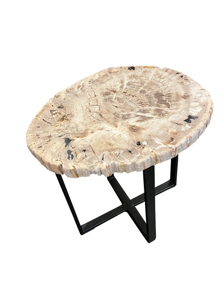 Contemporary Indonesian Sliced Petrified Wood Side Table